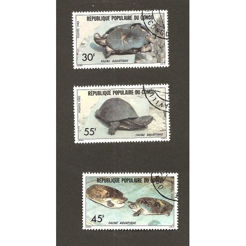 Tortues