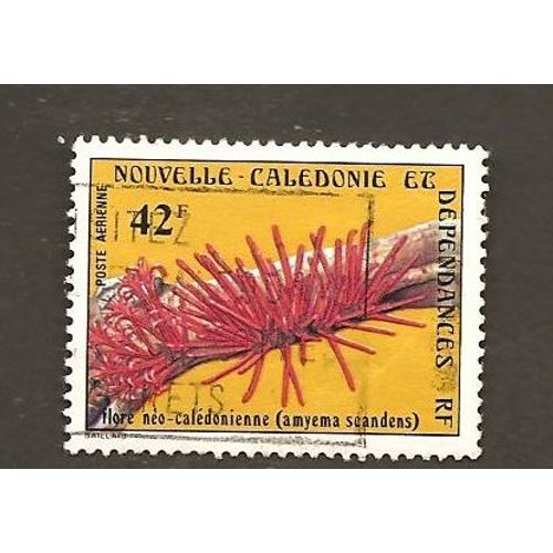 Flore Néo-Calédonienne