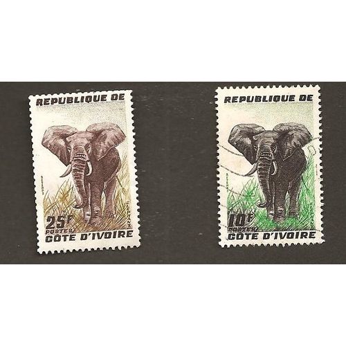 Elephant