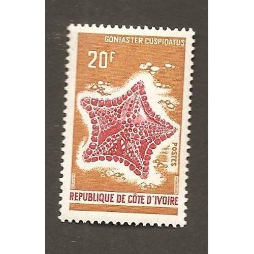 Etoile De Mer