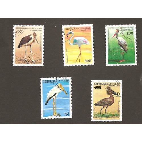 Oiseaux