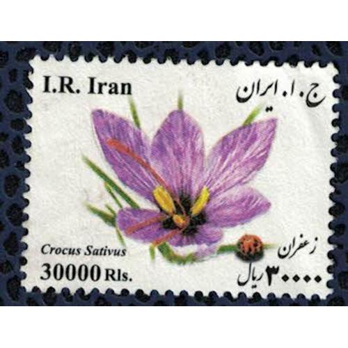 Iran Used Crocus Sativus Safran