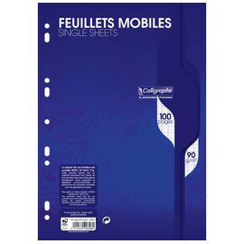 Clairefontaine Lot De 10 Feuillets Mobiles S/Film 21x29,7 100p Séyès 90g