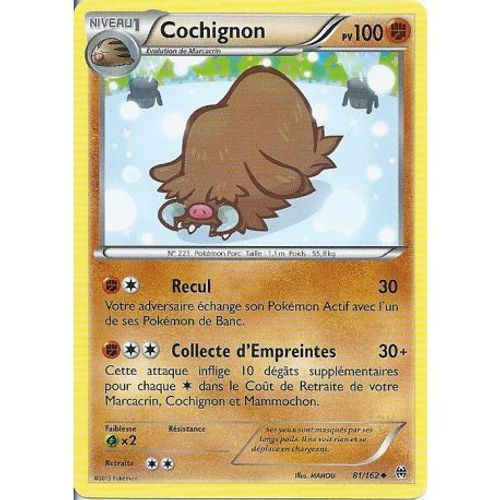 Carte Pokemon - Cochignon - Pv 100 - 81/162 - Peu Commune - Vf