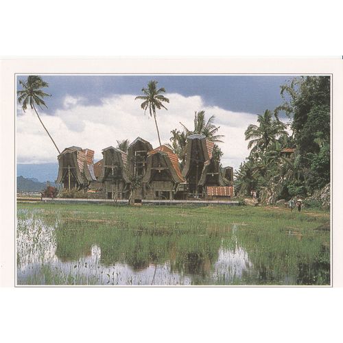 Indonésie, " Maisons De Bois Sur Pilotis Sur L'île De Sulawési, Ancienne Célèbes ".