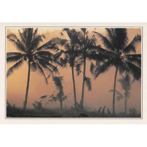Bali, " Aux Environs De Trabanan ".