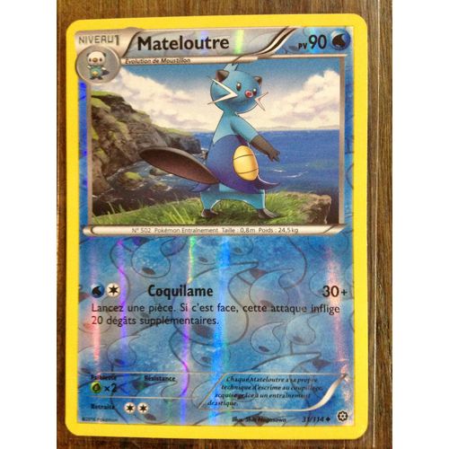 Mateloutre Reverse 31/114 Xy Offensive Vapeur