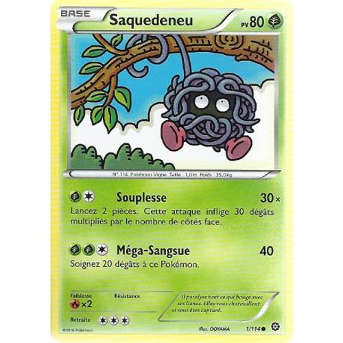 Carte Pokemon - Xy11 - Offensive Vapeur - Saquedeneu - Pv 80 - 1/114 - Commune - Vf