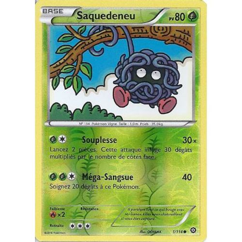 Carte Pokemon - Xy11 - Offensive Vapeur - Saquedeneu - Pv 80 - 1/114 - Holo Reverse - Vf