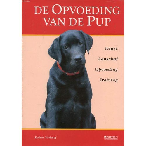 De Opvoeding Van De Pup