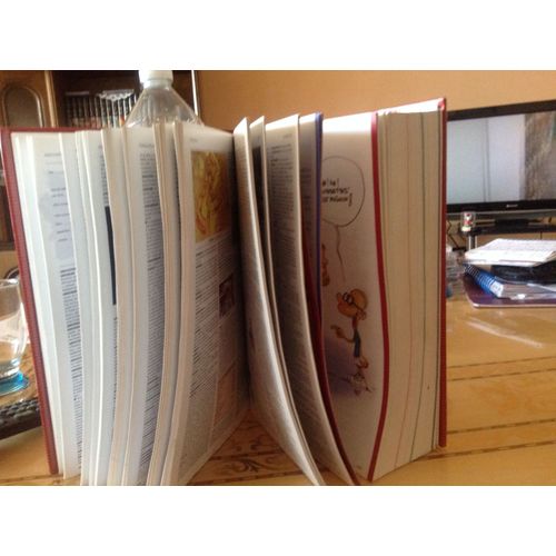 Le Petit Larousse Illustre