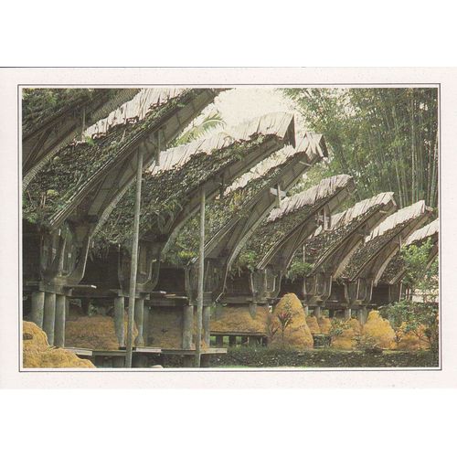 Célèbes, " Greniers À Riz À Nanggala ", Indonésie.