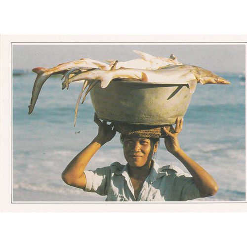 Indonésie, " Retour De La Pêche À Jimbaran ".