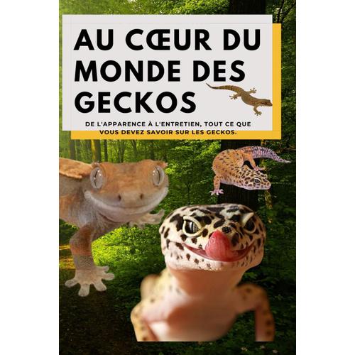 Au Cur Du Monde Des Geckos: De L'apparence À L'entretien, Tout Ce Que Vous Devez Savoir Sur Les Geckos. ( Tout Les Geckos Y Compris Le Gecko À Crête Livre / Gecko Léopard Livre