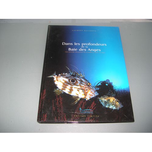 Dans Les Profondeurs De La Baie Des Anges