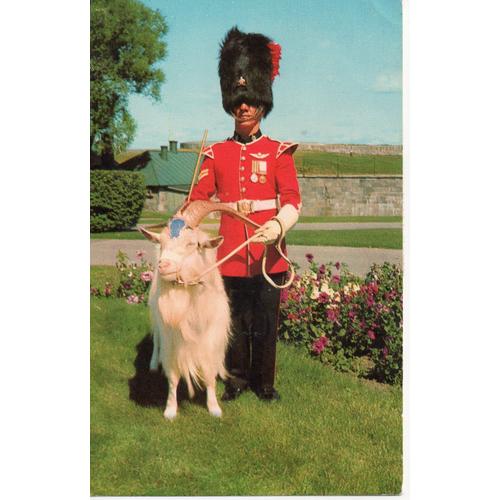 Canada - Le Caporal Attitré À La Garde De "Baptiste", La Mascotte Du Royal 22è Régiment À La Citadelle (Québec, Militaire Et Bouc)