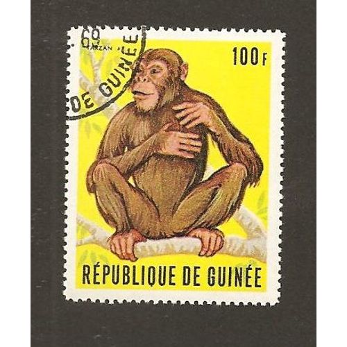 Singes