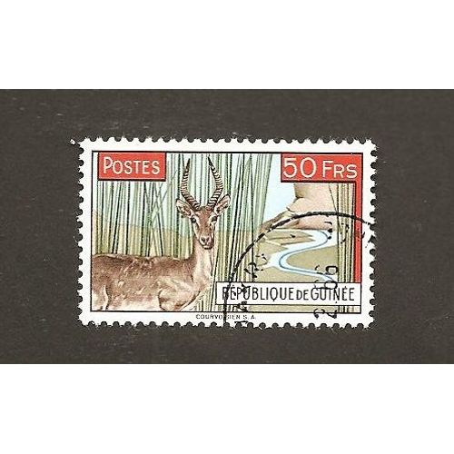 Antilopes