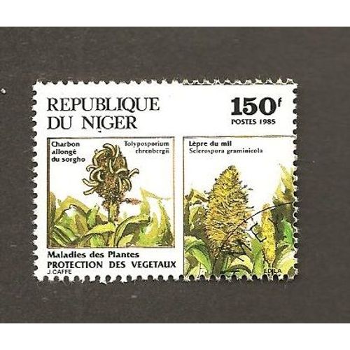 Protection Des Végétaux