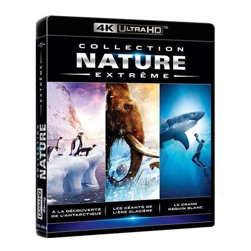 Collection Nature Extreme : À La Découverte De L'antarctique + Les Géants De L'ère Glacière + Le Grand Requin Blanc - 4k Ultra Hd