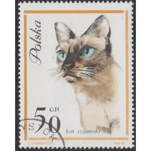 Timbre De Pologne N°1334 Y&t 50 Gr Ocre, Sépia Et Vert Chats Divers Valeur Et Polska En Noir Chat Siamois