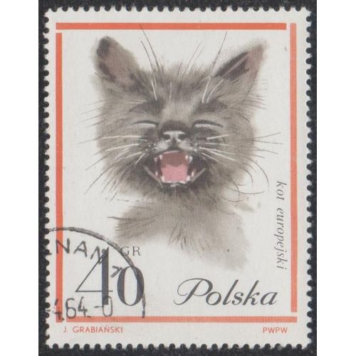 Timbre De Pologne N°1333 Y&t 40 Gr Orange, Gris Et Rose Chats Divers Valeur Et Polska En Noir Chat Gris