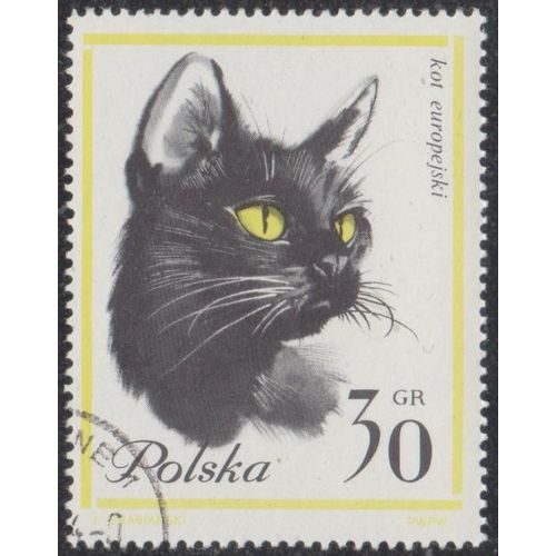 Timbre De Pologne N°1332 Y&t 30 Gr Jaune Et Noir Chats Divers Valeur Et Polska En Noir Tête De Chat Noir D'europe