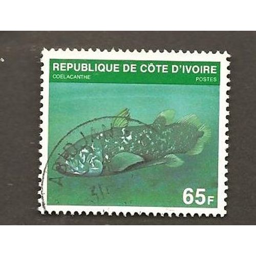 Coelacanthe