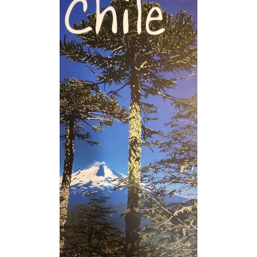 Chile Editorial Kactus