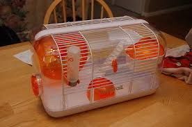 habitrail mouse cage
