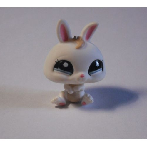 Petshop Lapin Nain N°2019