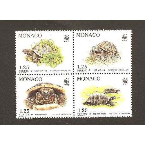Tortues