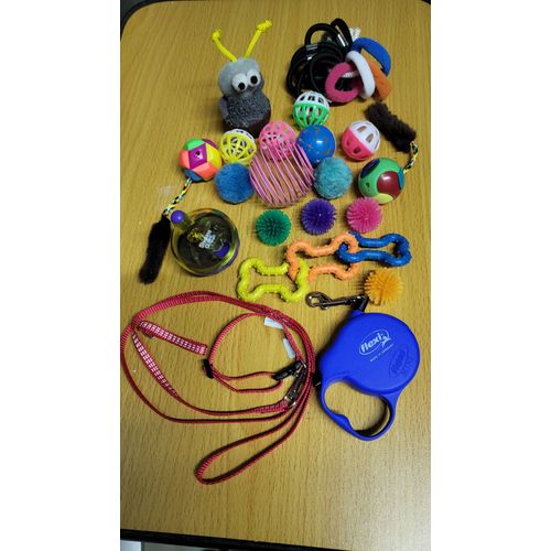 Lot De Jouets Pour Chat
