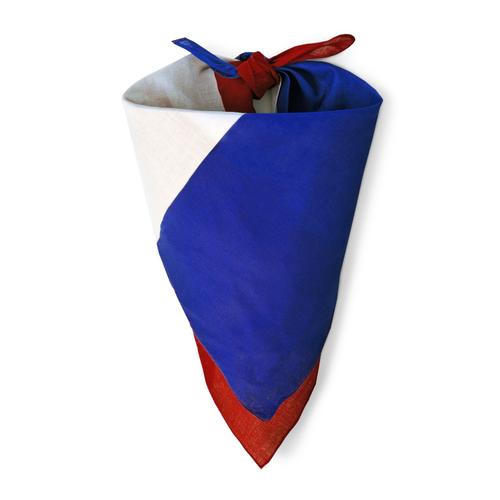 Drapeau France 15X21cm AVEC BATON