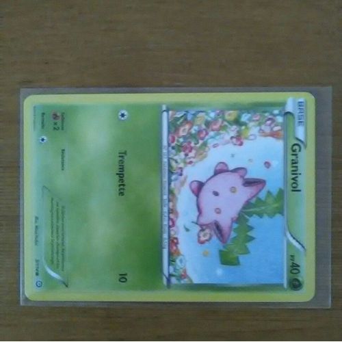 Carte Pokémon Granivol 3/114 Offensive Vapeur 