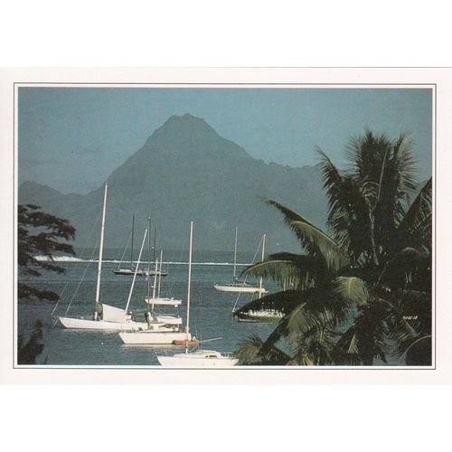 Polynésie, " Mouillage Sauvage Dans La Baie De Papeete ".