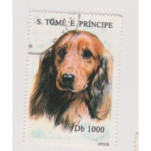 Timbre Chien Dog Pays Inconnue 