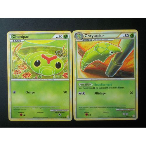 H.G.S.S. Chenipan (57) + Chrysacier (46/123)
