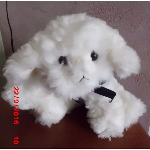 Mouton Blanc Russ Berrie