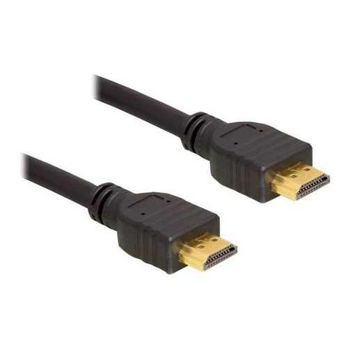 Delock - Câble HDMI - HDMI mâle pour HDMI mâle - 3 m