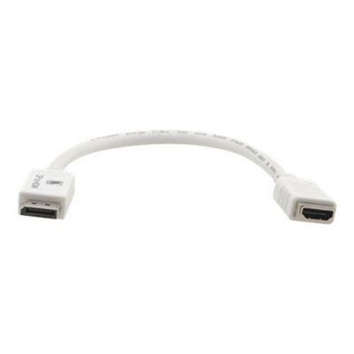 Kramer ADC-DPM/HF - Câble adaptateur - DisplayPort mâle pour HDMI femelle