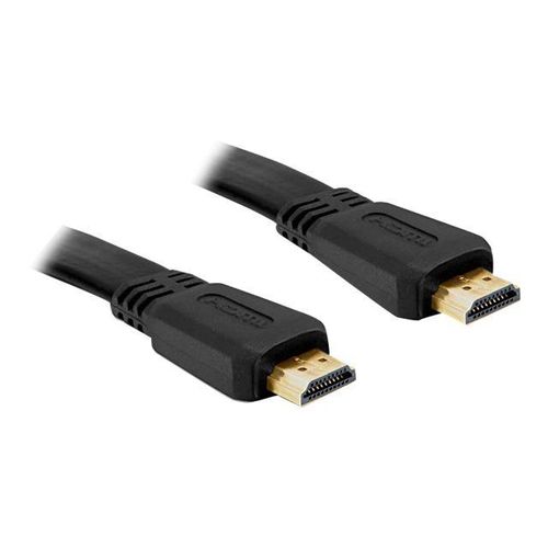 Delock High Speed HDMI with Ethernet - Câble HDMI avec Ethernet - HDMI mâle pour HDMI mâle - 2 m