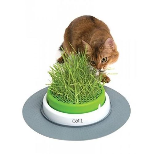 Cat It Jardin D'herbe A Chat Senses 2.0
