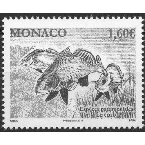 Faune Et Flore Marines