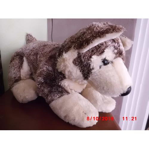 Chien Marron Et Beige Nounours