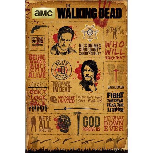 The Walking Dead - Infographic - 61x91,5 Cm - Affiche / Poster Envoi En Tube