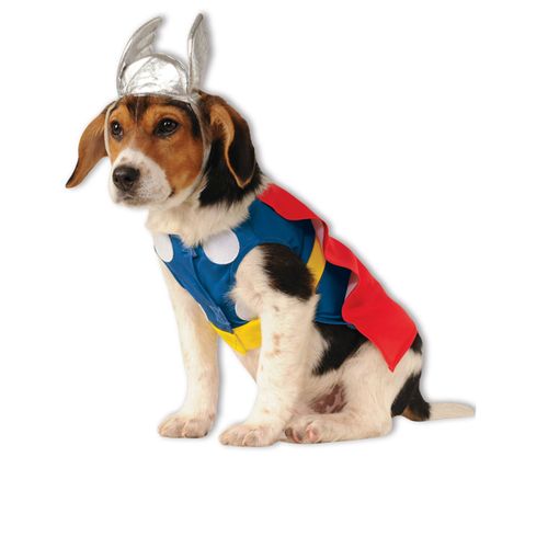 Déguisement Pour Chien Thor Small