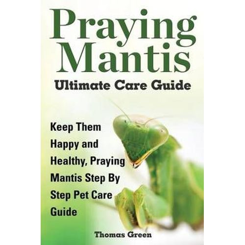 Praying Mantis Ultimate Care Guide