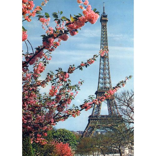 Cpm N° 550 Paris La Tour Eiffel - Editions Chantal - Carte Iris