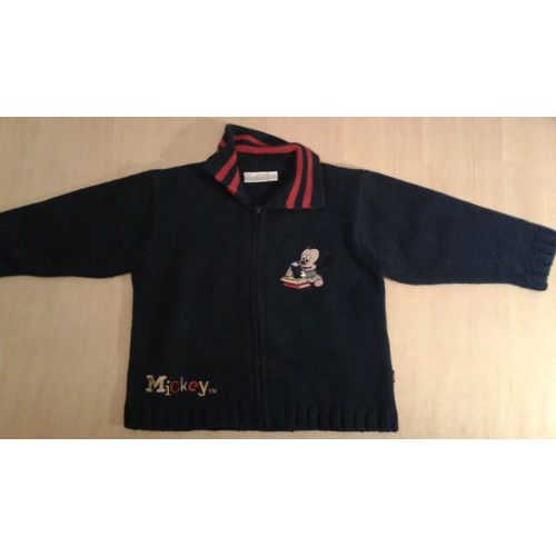 Pull Disney Acrylique Fermeture Éclair 18 Mois Bleu Marine